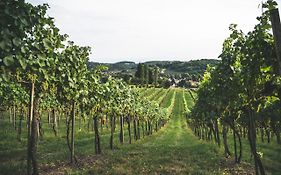 Erlacher Wein